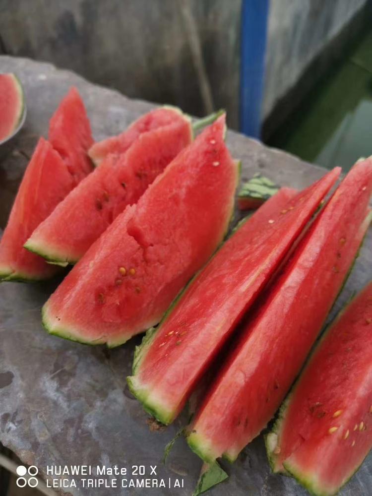 昭通市昭阳区德周蔬菜种植场的小店