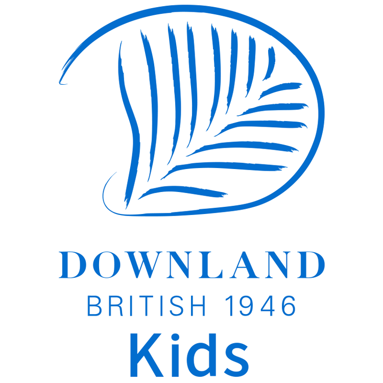 DOWNLANDKIDS羽陆家居（上海）有限公司婴童用品专卖店
