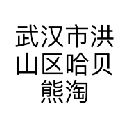 武汉市洪山区哈贝熊淘矿部落的小店个体店