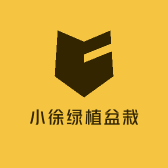 小徐绿植盆栽