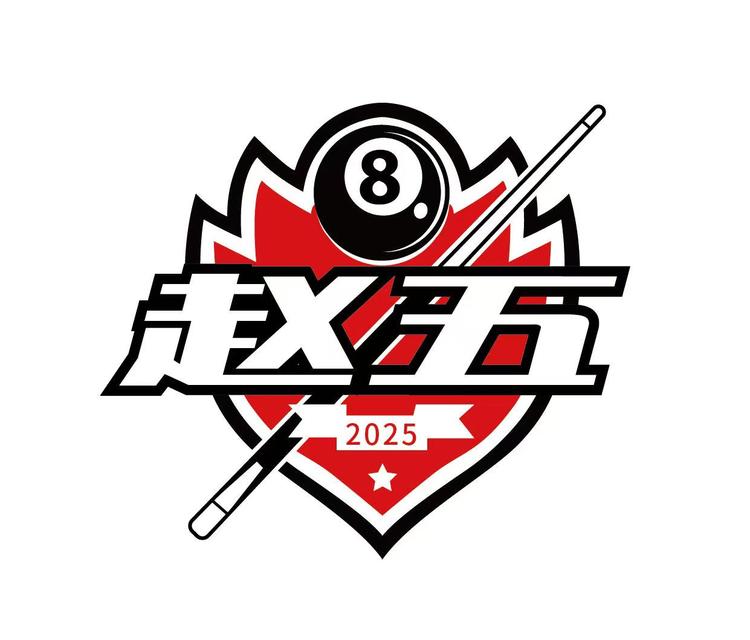 赵五台球器材