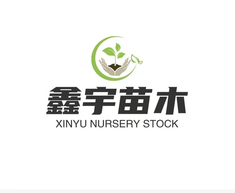 鑫宇苗木