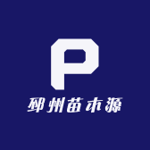邳州苗木源