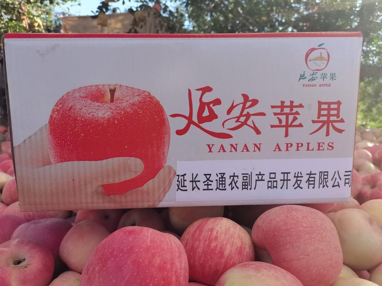 延长圣通农副产品开发有限公司的小店