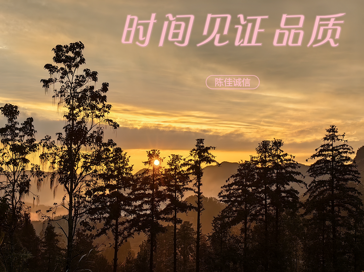 时间见证品质