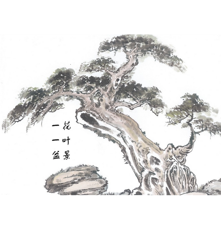 一花一叶盆景