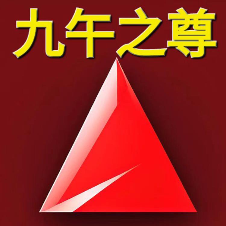 九午之尊工作室