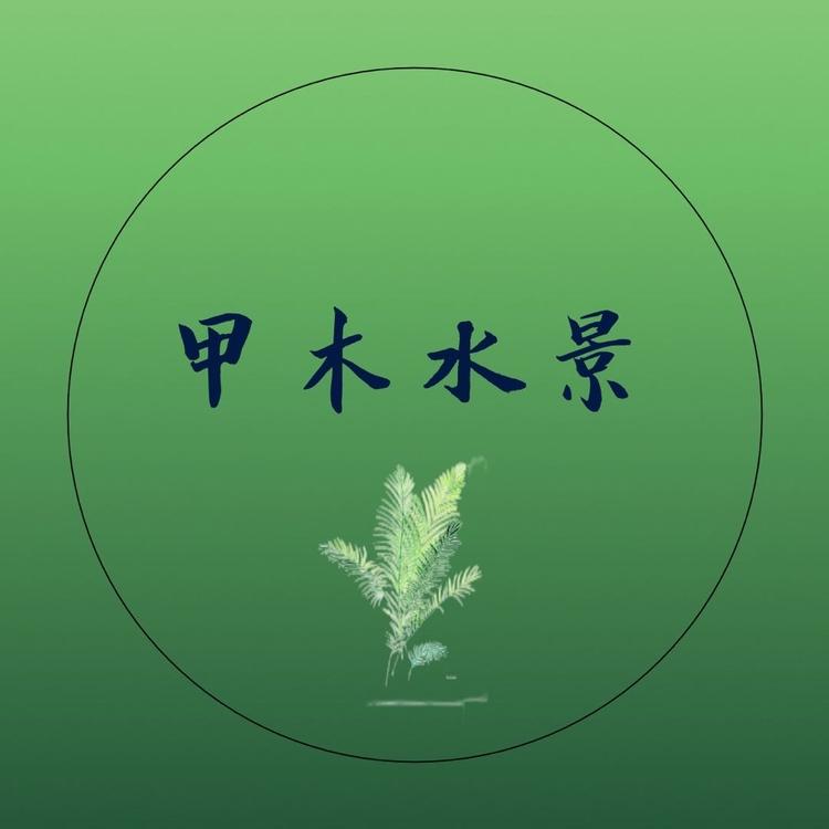 甲木水景