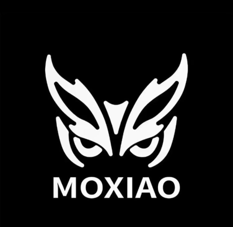摩枭台球运动