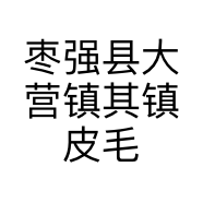 枣强县大营镇其镇皮毛经营部的小店