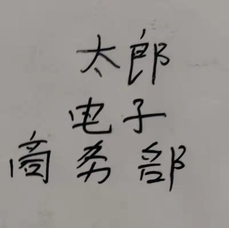 太郎电子商务部个体店