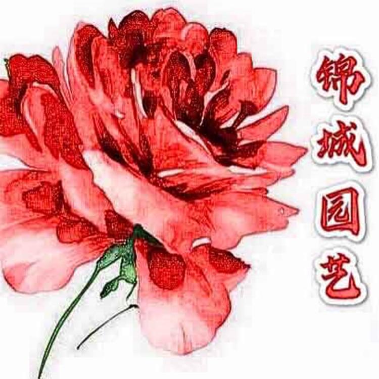 锦城园艺