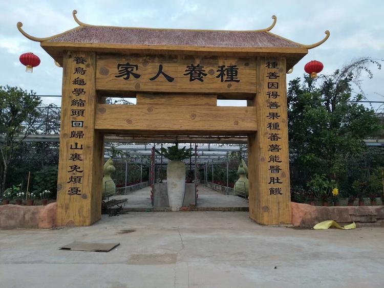 紫系情缘
