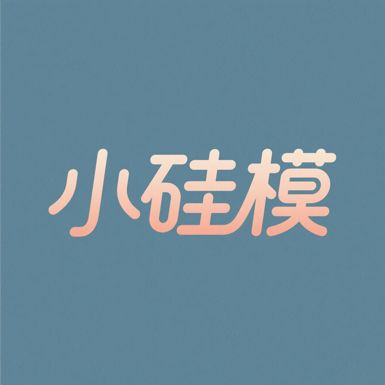 小硅模