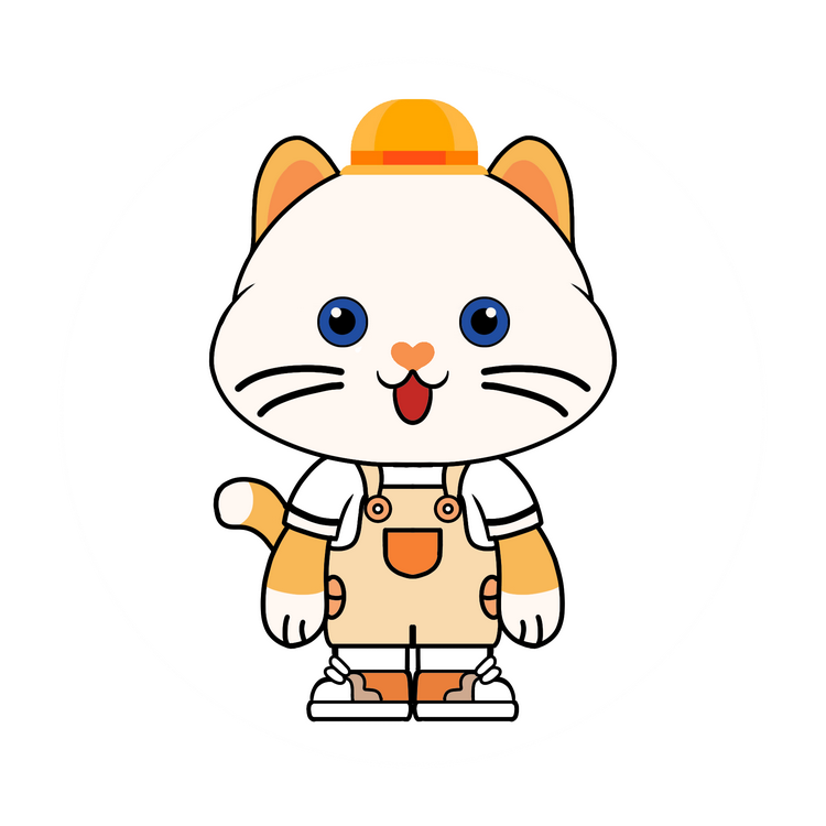 喵小金甄选