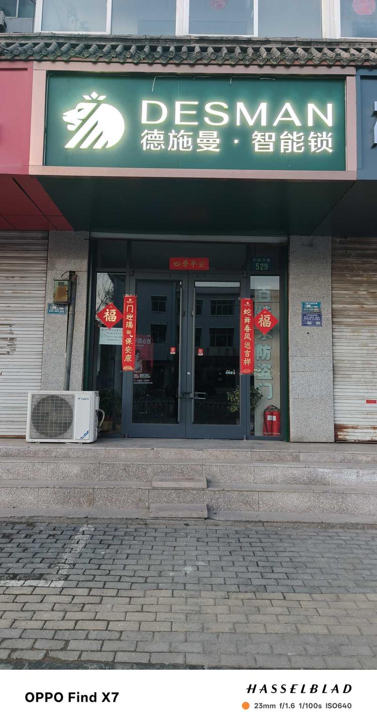 保定DESMAN智能锁及防盗门