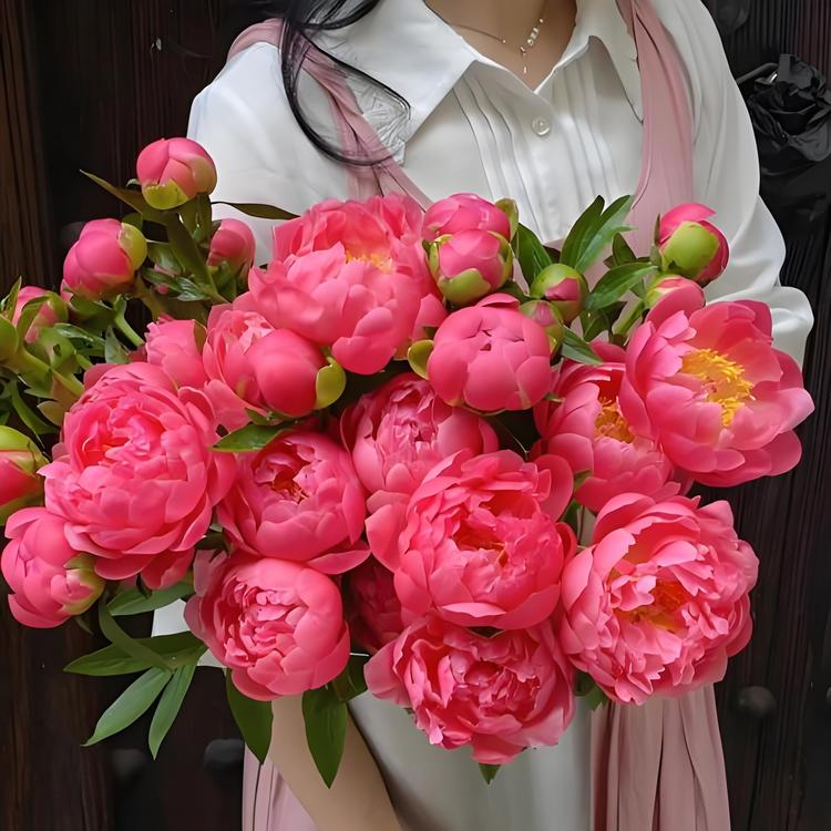 菏泽鲜花牡丹仙子