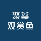 聚鑫观赏鱼