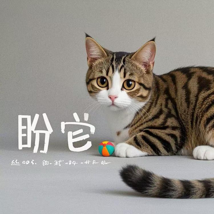 盼它宠物生活馆