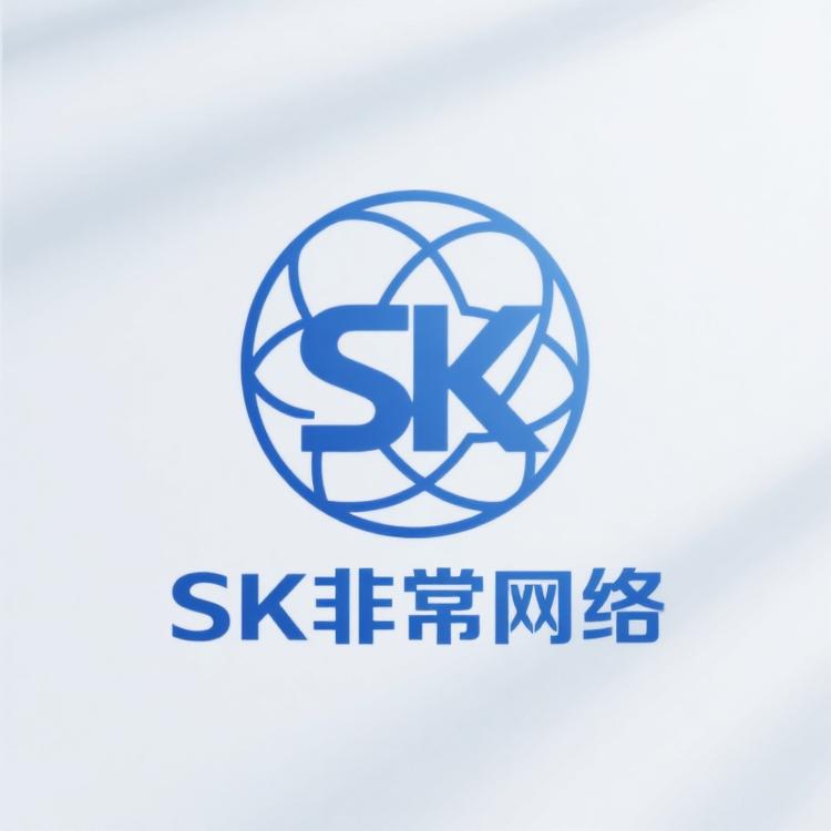SK非常网络