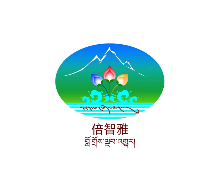 藏地倍智雅膏贴