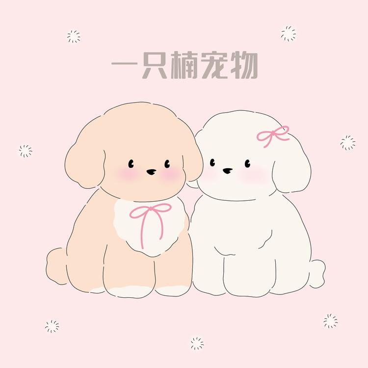 一只楠宠物精选