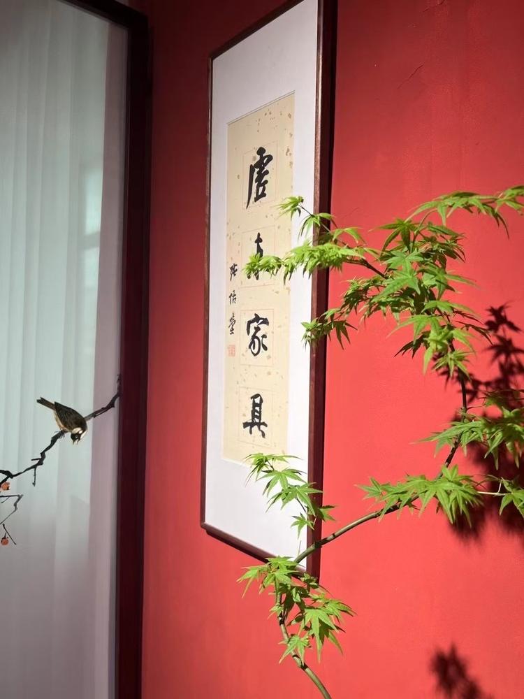 植女园艺