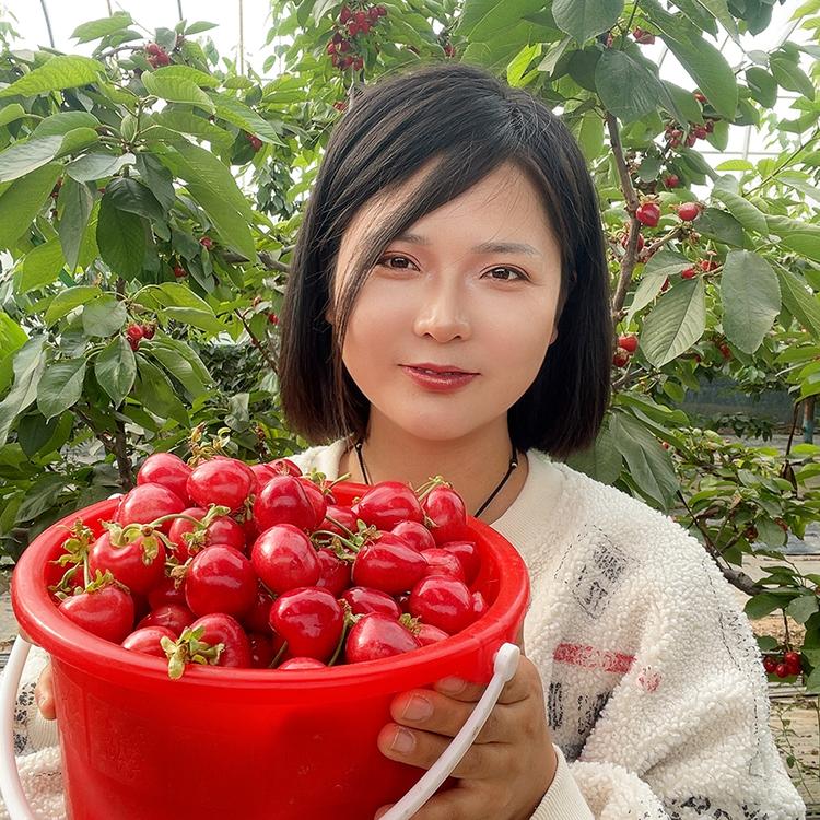 悦悦姨特产馆