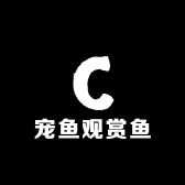 宠鱼观赏鱼
