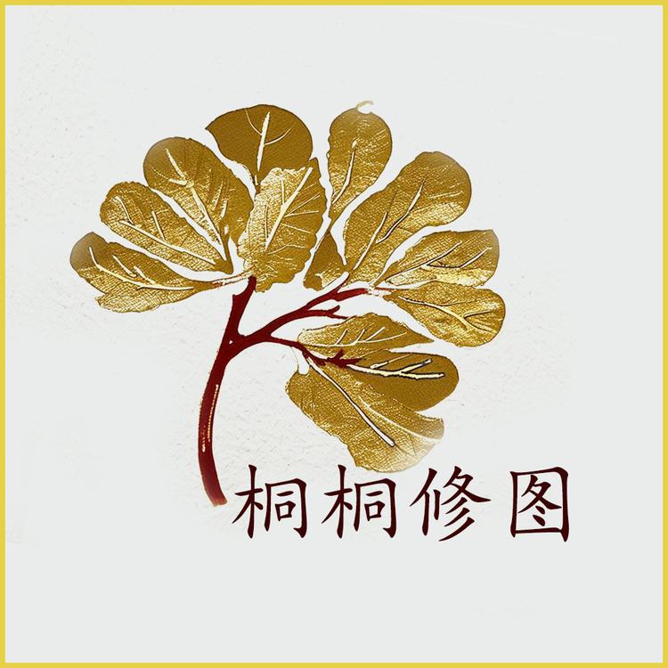 桐桐设计服务