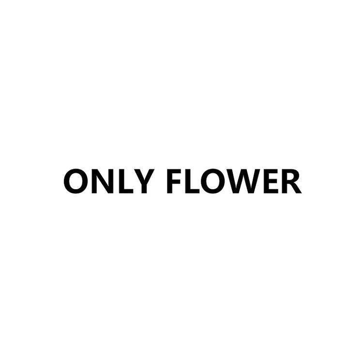 Only Flower星辰大海专卖店