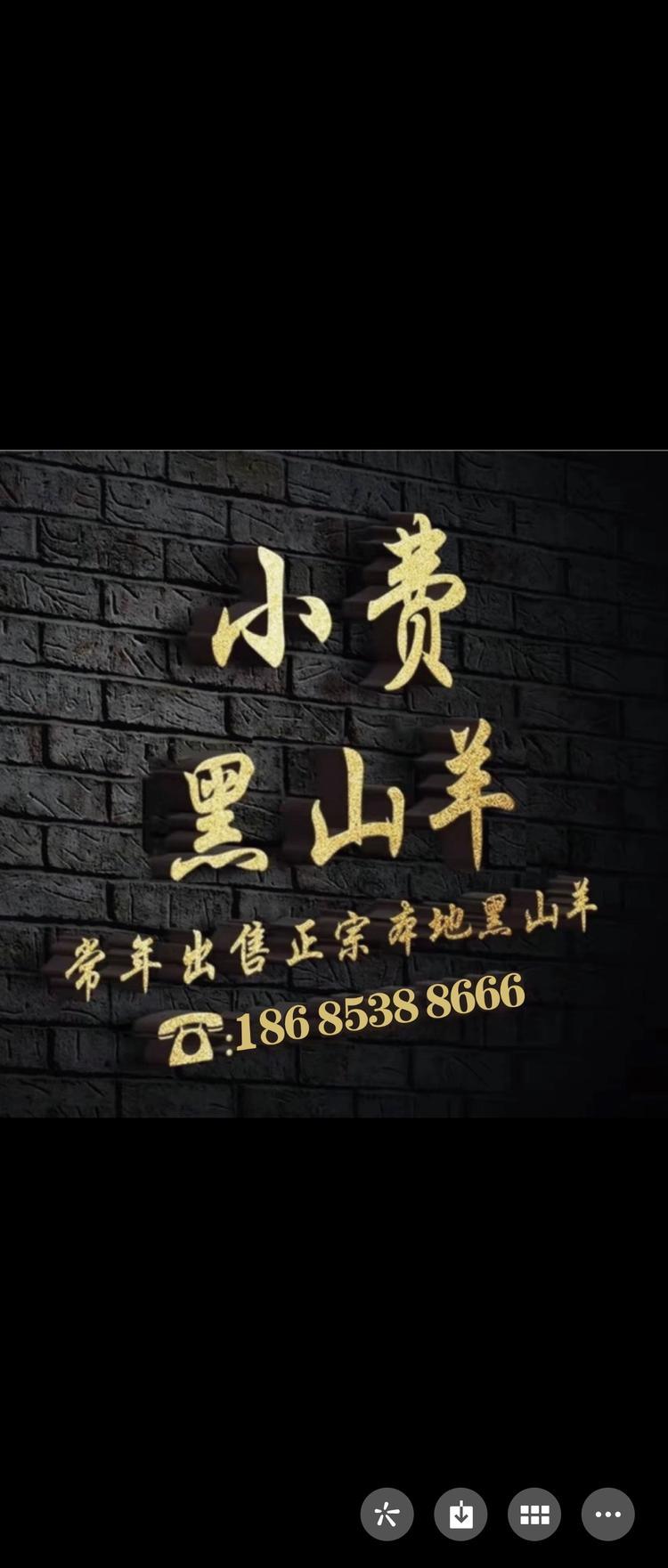 小费生鲜羊肉批发零售