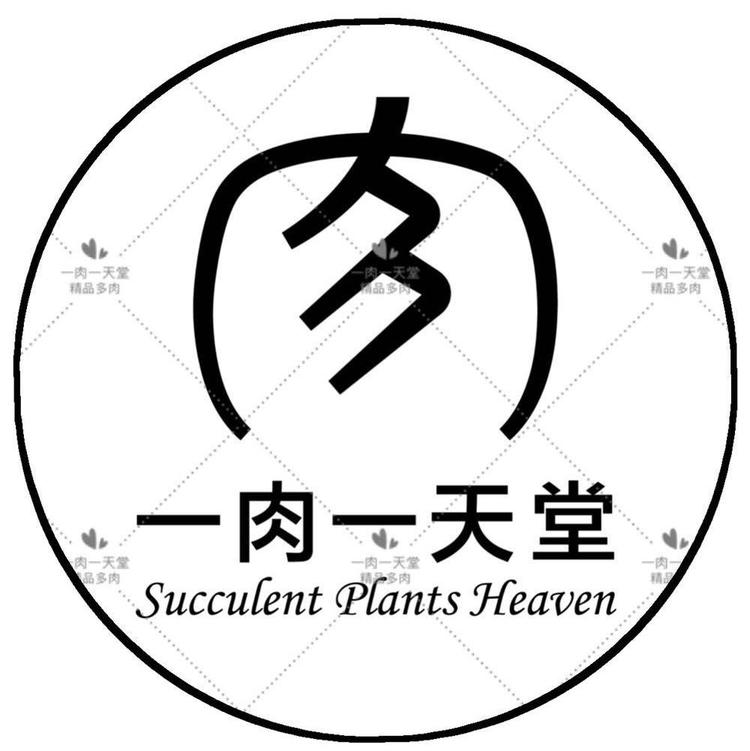 一肉一天堂精品多肉