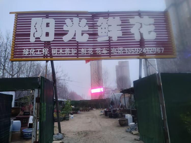 郑州阳光花木场