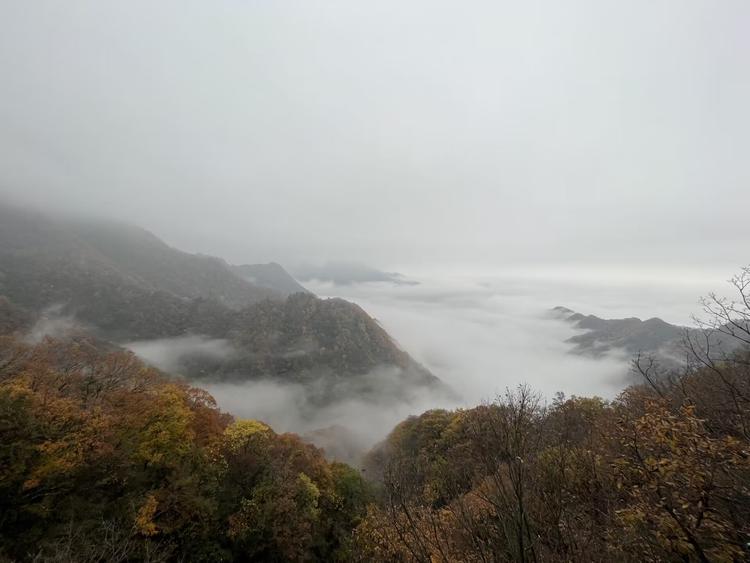秦岭阿旺甄选山货