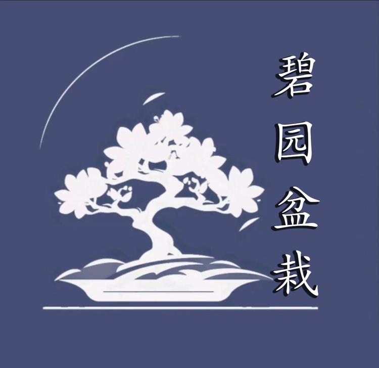 碧园盆栽