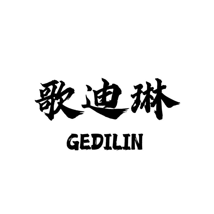 歌迪琳羽绒服
