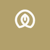 姜涛盈盈好物甄选