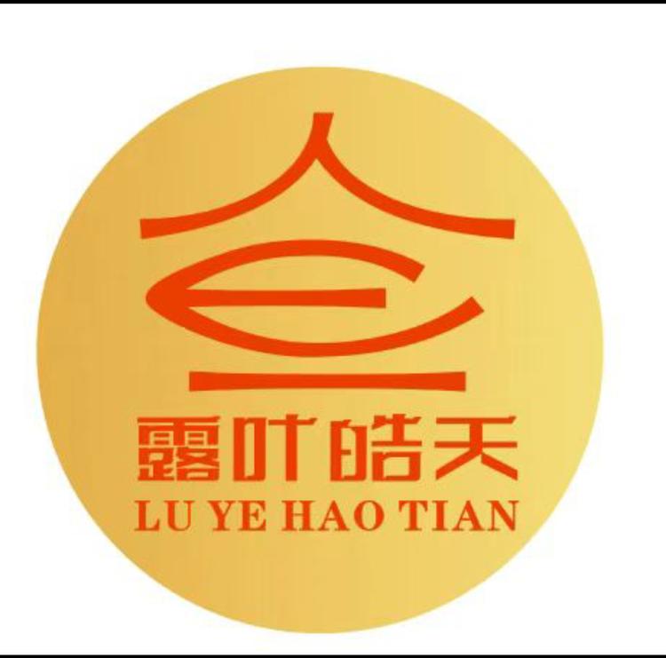 露叶皓天