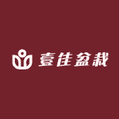 壹佳盆栽