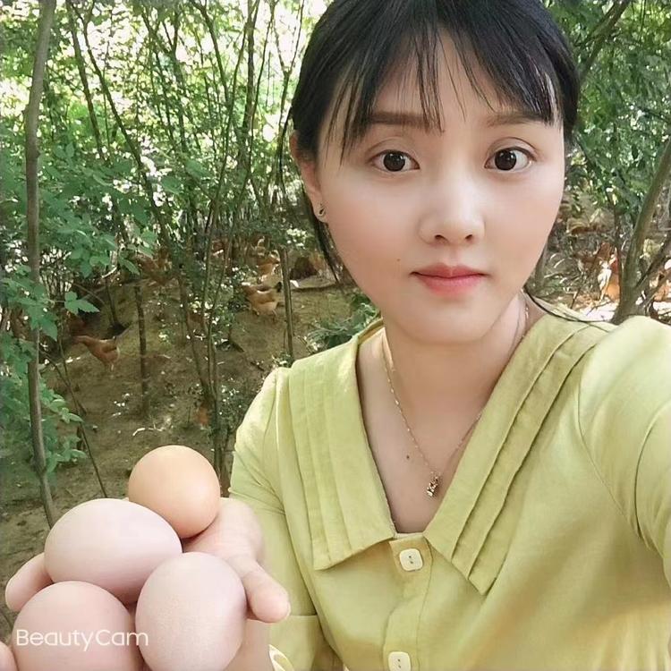 山林鸡蛋