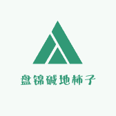 盘锦碱地柿子番茄小妹