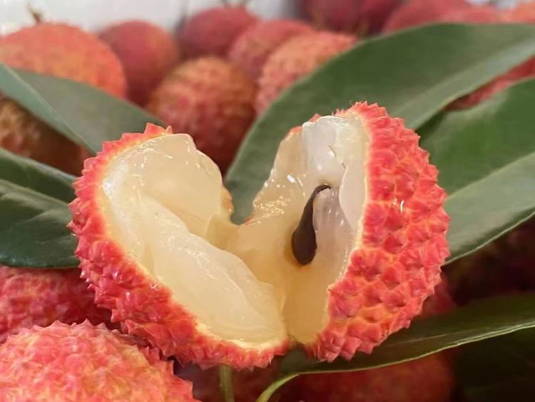 高州夏日荔乡特色食品集