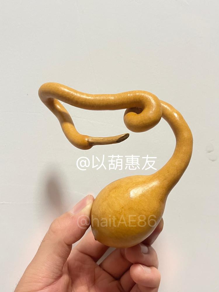 以葫惠友