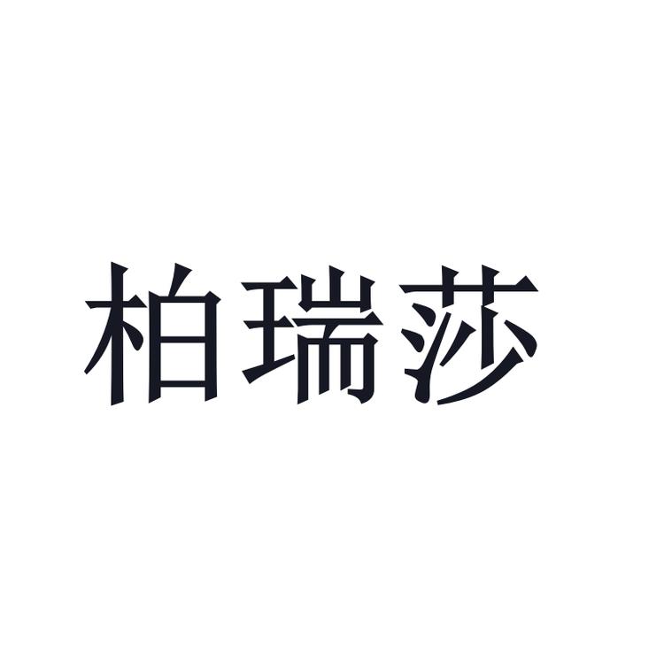 柏瑞莎汽车电子旗舰店