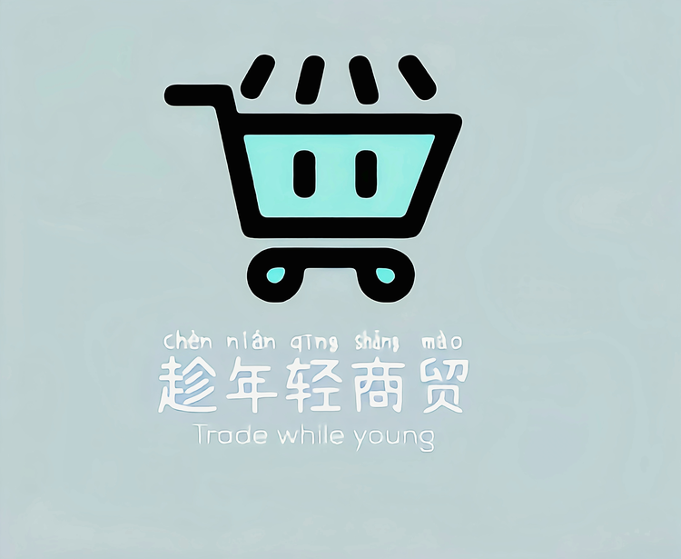 趁年轻商贸店