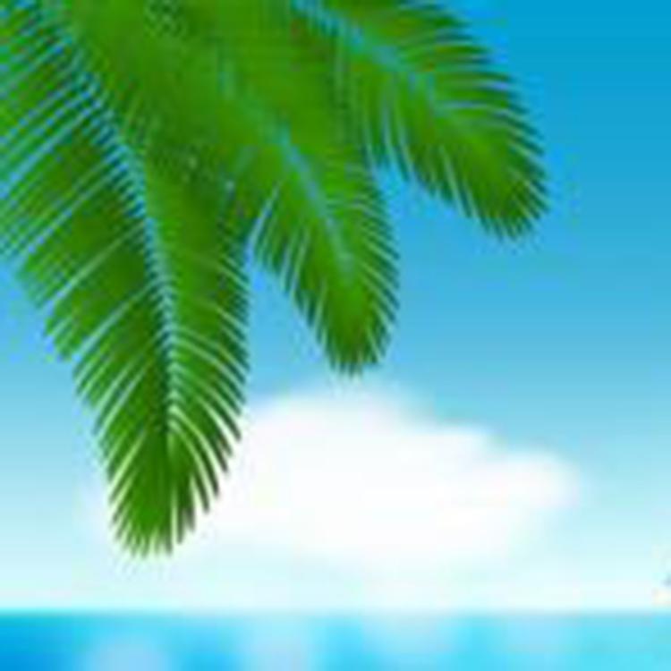 尚品护肤甄选店