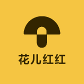 花儿红红3号