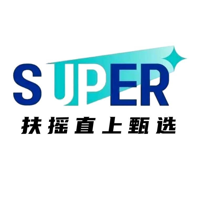 扶摇直上供应链