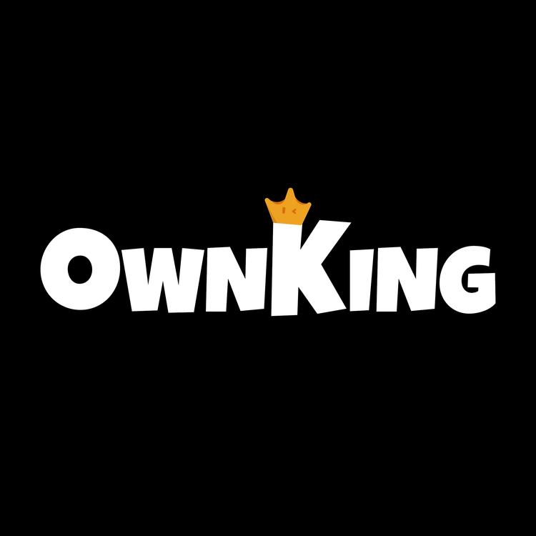 OWNKING工作室